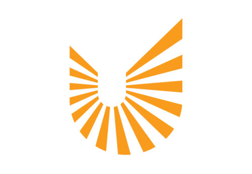 Logo design by Perform